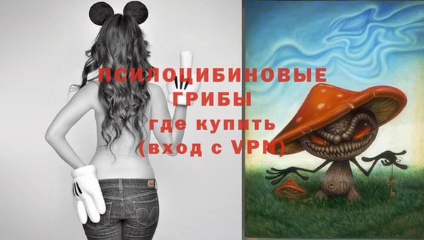 прущая мука Нефтекумск